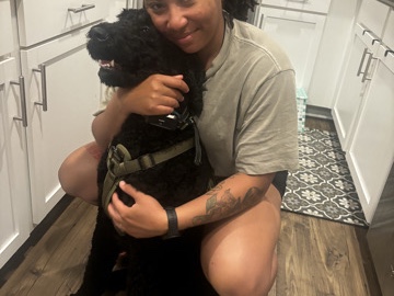 Labradoodle - FullBred lab available for adoption in Columbia