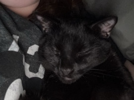 Blacky – Winston Salem