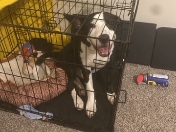 need a new home ASAP!!
