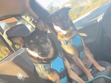 siblings – San Diego
