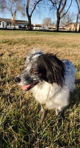 Sam
