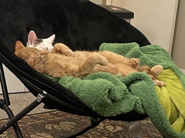 Rehoming Phoebus – Brookhaven
