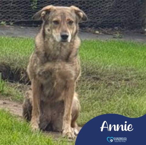 Annie