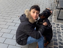 Doberman Pinscher – Dobbermann Rico Rüde 6 Monate alt Welpe – Herne