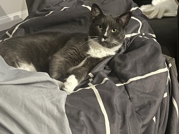 Others in Minneapolis