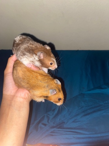 two for one