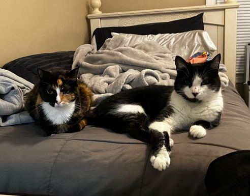 Rehoming