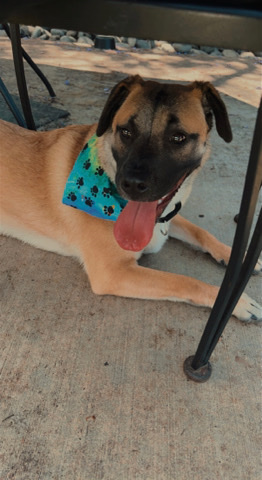 Milo