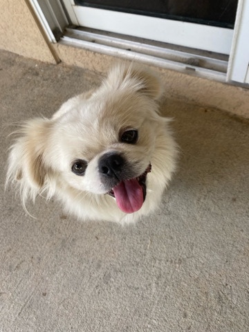 new home for me please