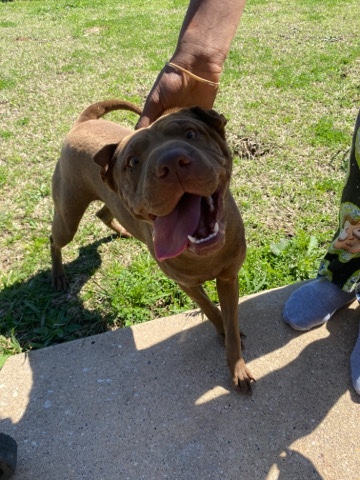 looking for a new home 