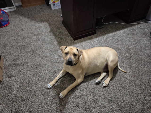 milo – Salt Lake City
