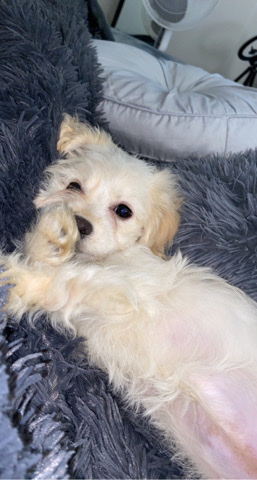 She needs a home