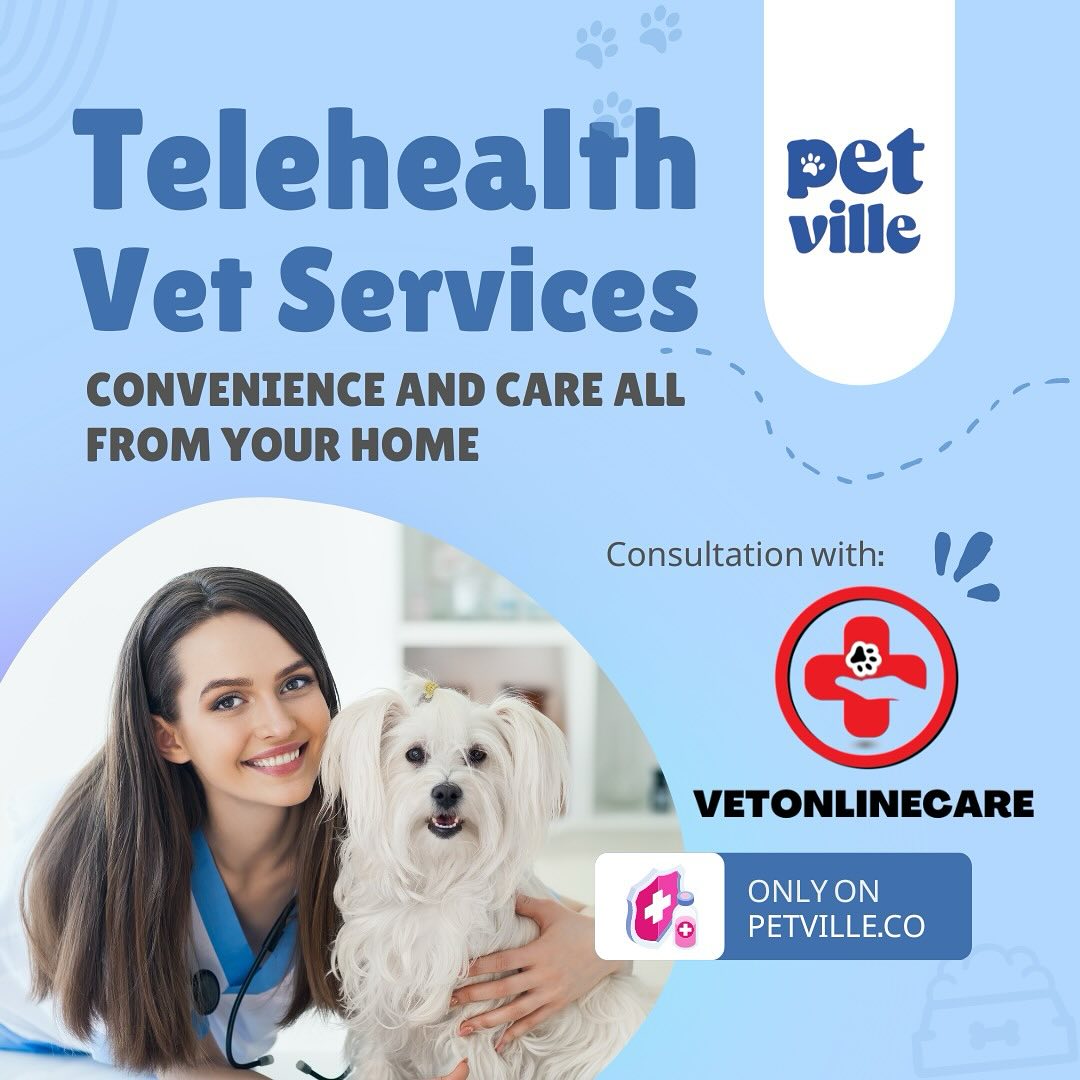 Preview of Pet Teleconsultation (Video call) : 12AM - 3AM