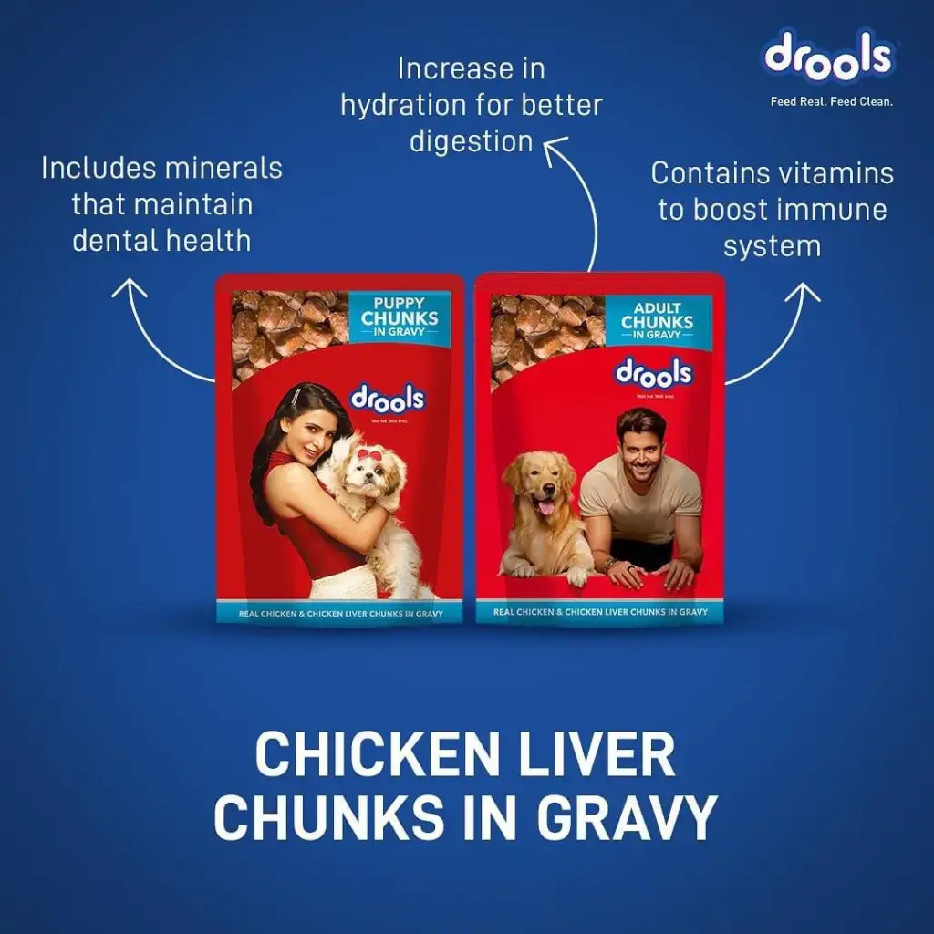 Drools Chicken Chunks in Gravy