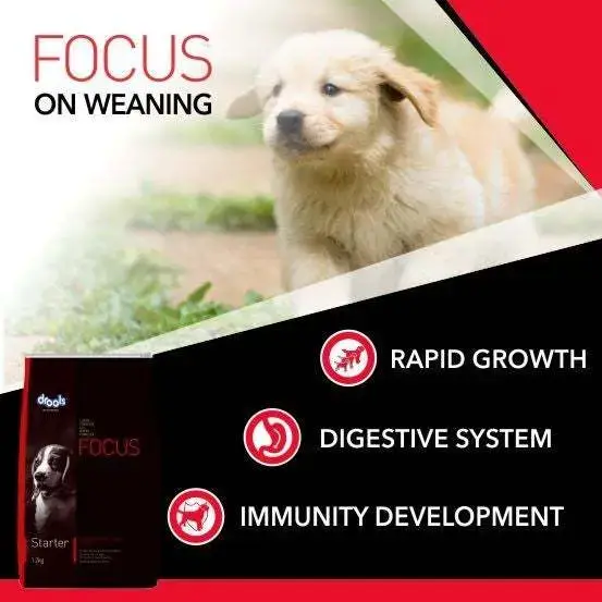 Drools Focus Super Premium (Puppy)