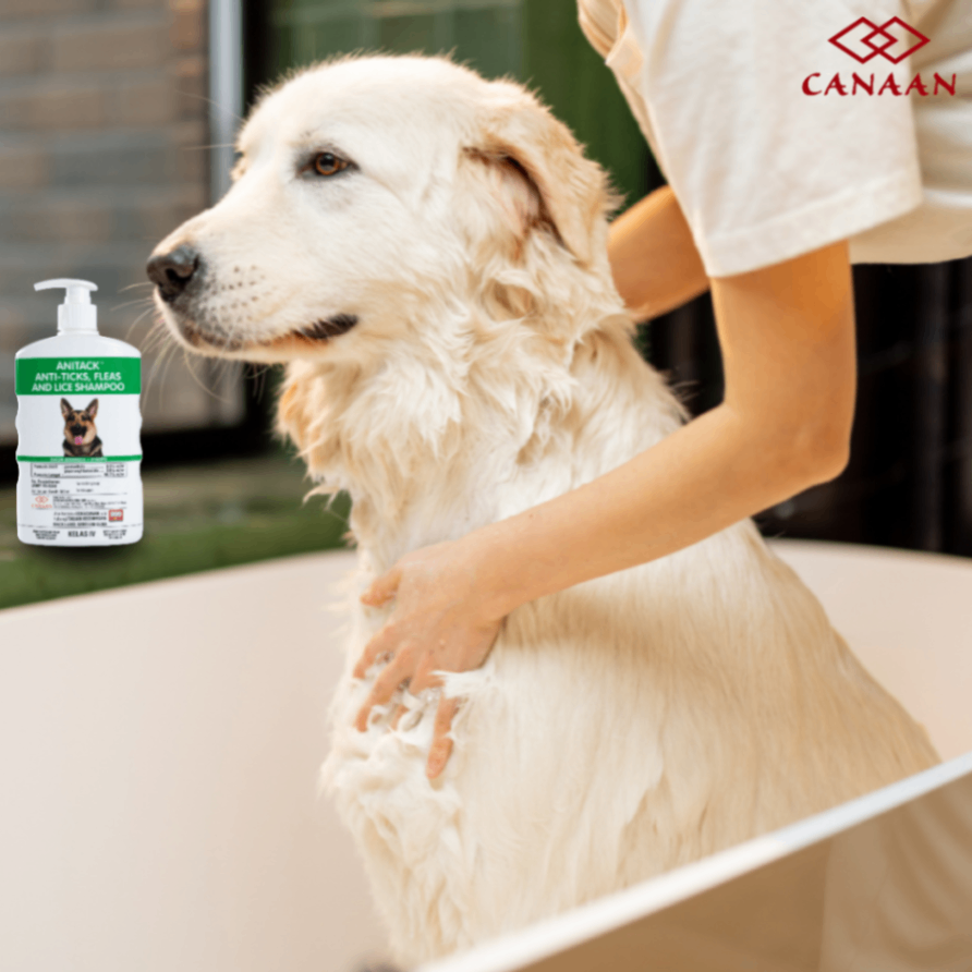 Preview of CANAAN Ticks, Fleas & Lice Combo Buster For Dogs