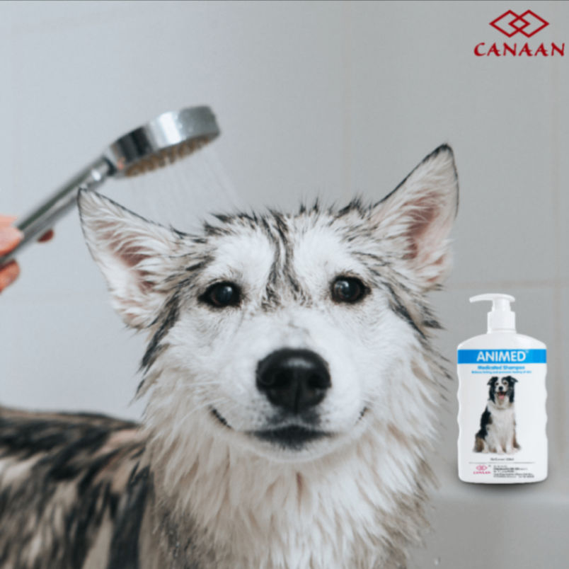 Preview of CANAAN Sensitive Skin Shampoo + Spray Combo for Dogs & Cats 