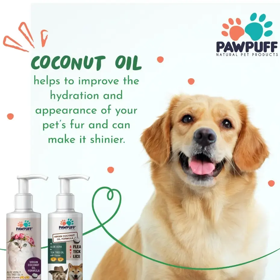 Preview of PAW PUFF COCONUT VIRGIN OIL PET GROOMING SHAMPOO 5 LITTER