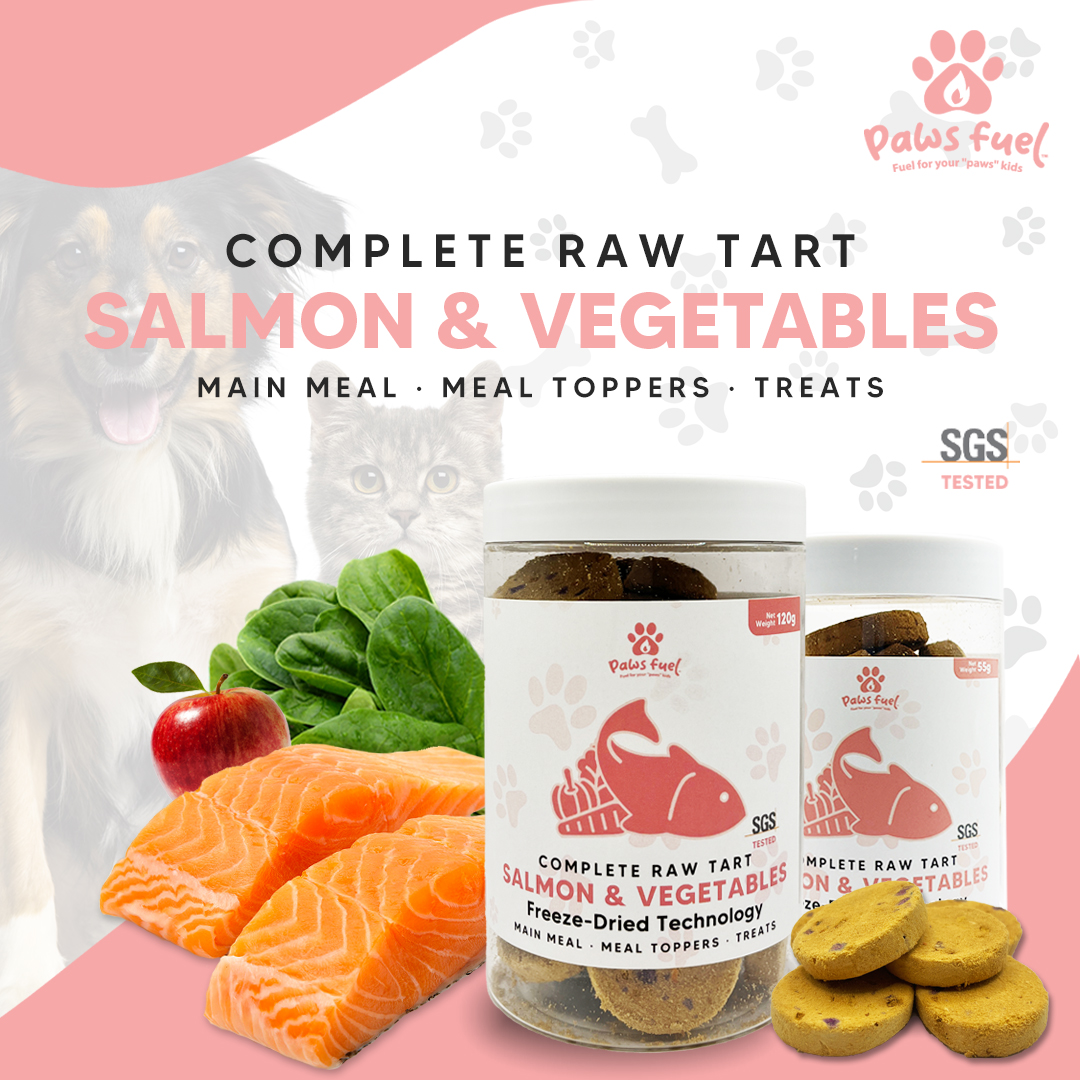 Pawsfuel Complete Raw Tart: Salmon & Vegtables 