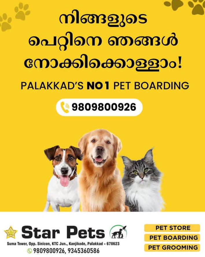 Star Pets