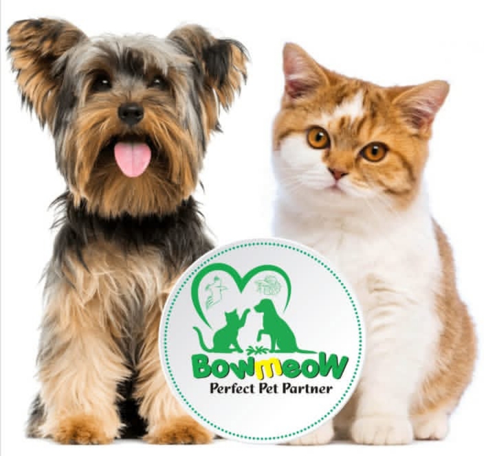 BoWMeoW Pet Store and Grooming parlour Perinthalmanna