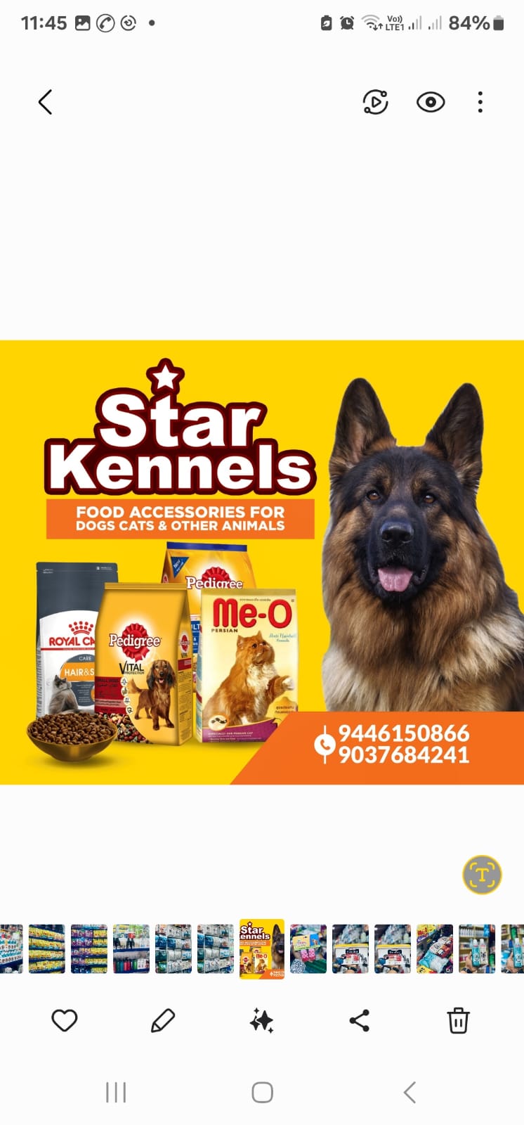 Star Kennels Mannarkkad