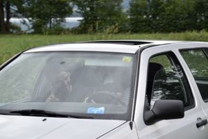 Foto aus SoLa 2021 Pfadistufe