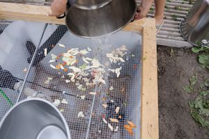 Foto aus BuLa 2022 Pfadistufe MOVA