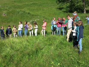 Foto aus Sola 2016 Pfadistufe