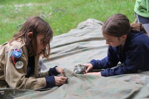 Foto aus Sola 2016 Pfadistufe