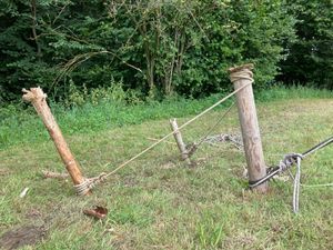 Foto aus 100 Jahre Pfadi Worb