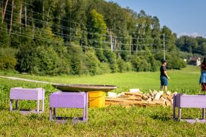 Foto aus 100 Jahre Pfadi Worb