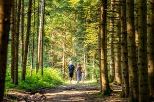 Foto aus 100 Jahre Pfadi Worb