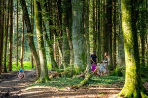 Foto aus 100 Jahre Pfadi Worb