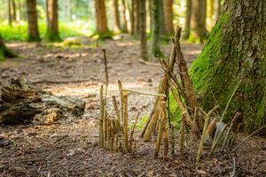 Foto aus 100 Jahre Pfadi Worb