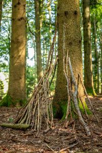 Foto aus 100 Jahre Pfadi Worb