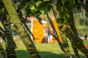 Foto aus 100 Jahre Pfadi Worb