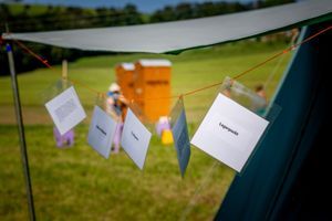 Foto aus 100 Jahre Pfadi Worb