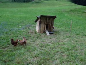 Foto aus SoLa 2021 Wolfsstufe