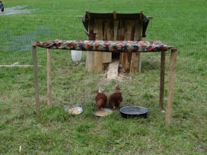 Foto aus SoLa 2021 Wolfsstufe