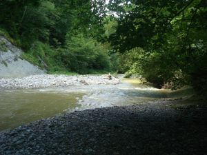 Foto aus SoLa 2021 Wolfsstufe