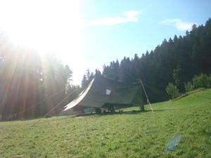 Foto aus SoLa 2021 Wolfsstufe