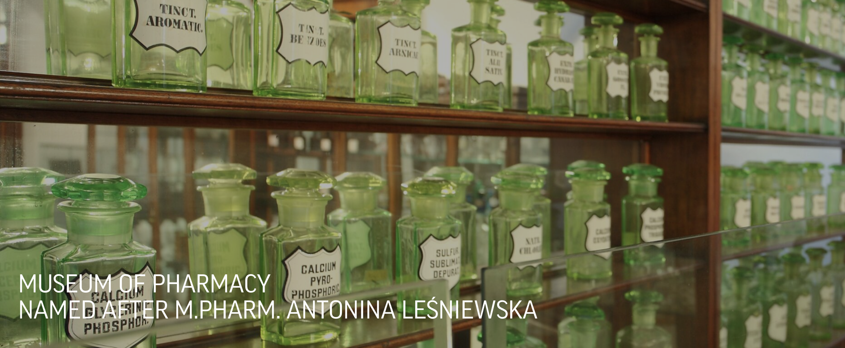 Antonina Leśniewska Museum of Pharmacy