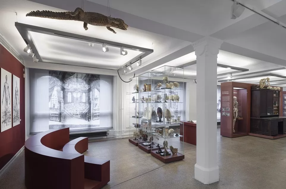 Berlin Museum of Medical History at the Charité