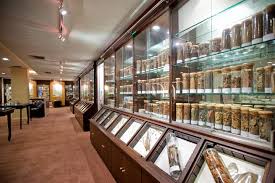 Chulalongkorn University Museum of Natural Medicine