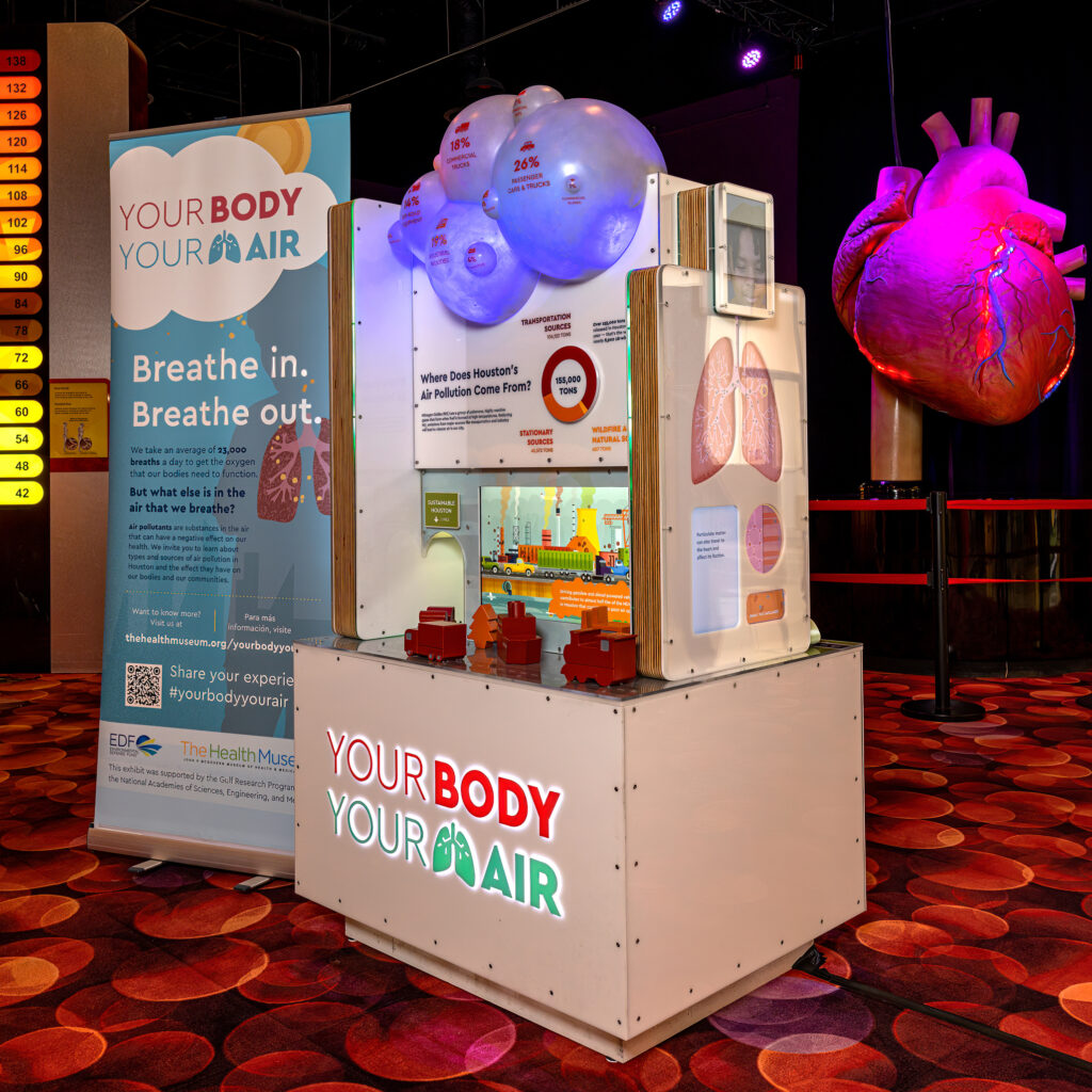 The Health Museum (John P. McGovern Museum of Health & Medical Science)