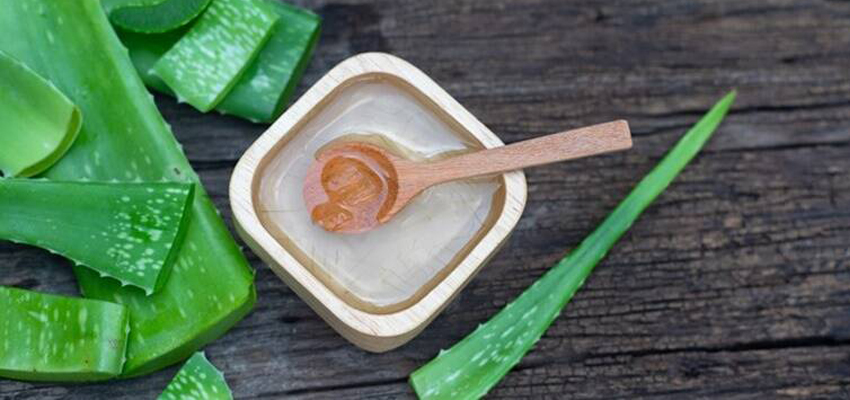 15 Aloe Vera - Health Benefits, Ayurvedic Medicines