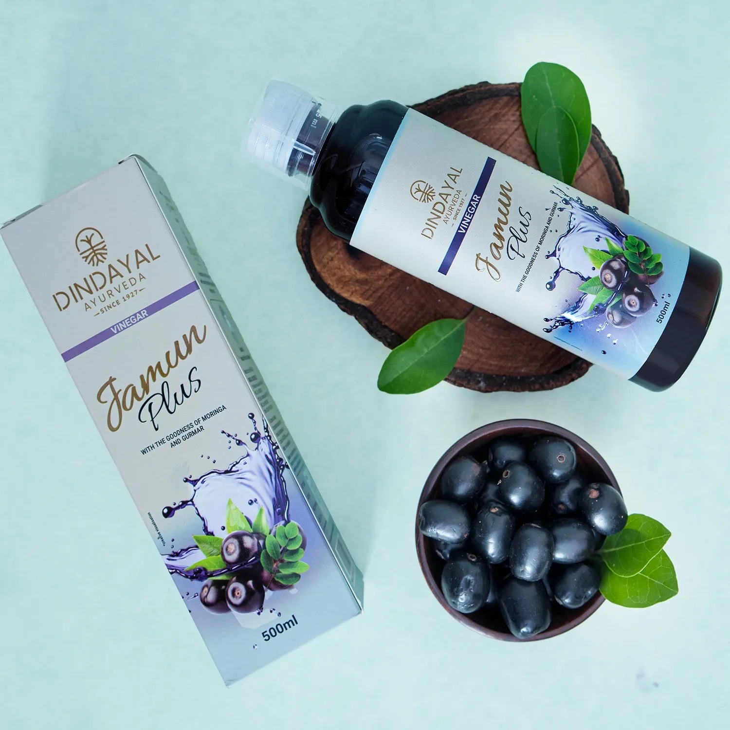 Dindayal Jamun Plus Vinegar