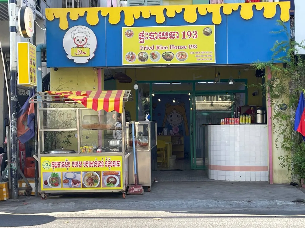 House fried rice and wok dishes at Halal Fried Rice House 193