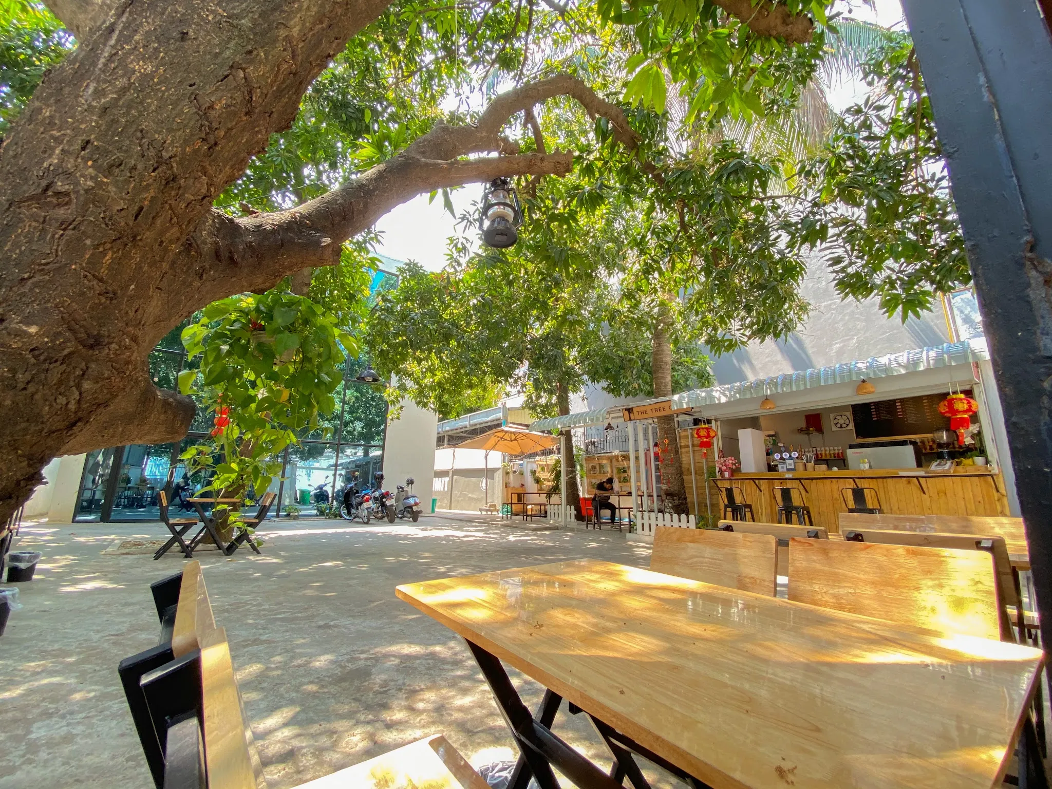 The Tree Cafe KH, Street 41 — specialty coffee and a plant-filled "morning culture" room